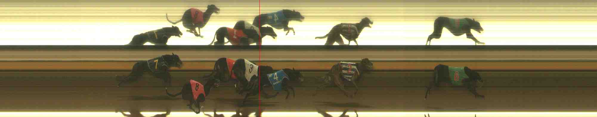 Race result finish photo